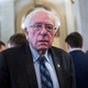 Image for article titled Here's Bernie Sanders, a man in his 70s, watching a furry fight a Jack Skellington cosplayer